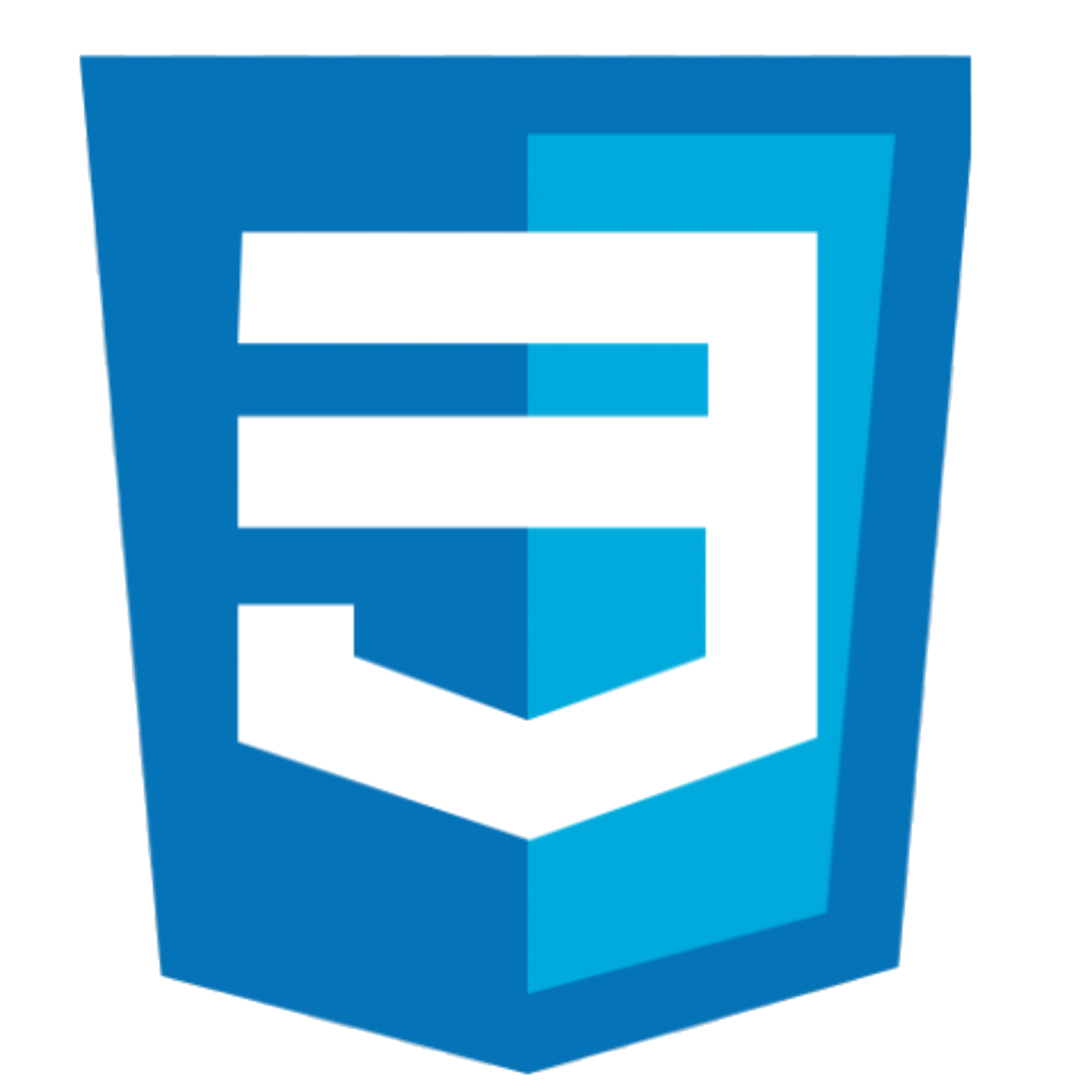 CSS